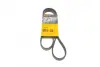 Ремень поликлиновой (Пр-во ContiTech) Continental 5PK1230
