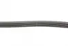 Ремень поликлиновой (Пр-во ContiTech) Continental 5 PK 1250 (фото 2)