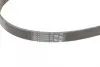 Ремень поликлиновой (Пр-во ContiTech) Continental 5 PK 1250 (фото 3)