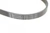 Ремень поликлиновой (Пр-во ContiTech) Continental 5 PK 1250 (фото 4)