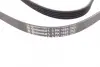 Ремень поликлиновой (Пр-во ContiTech) continental 5PK1393
