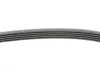 Ремень поликлиновой (Пр-во ContiTech) continental 5 PK 1397