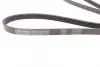 Ремень поликлиновой (Пр-во ContiTech) Continental 5 PK 1546 (фото 2)