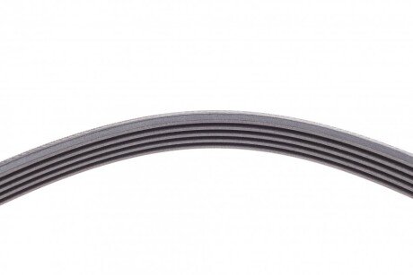 Приводной ремень генератора continental 5PK1646