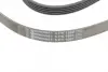 Ремень поликлиновой (Пр-во ContiTech) Continental 5PK1680 (фото 4)