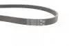 Ремень поликлиновой (Пр-во ContiTech) Continental 5PK1750 (фото 2)