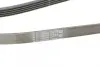 Ремень поликлиновой (Пр-во ContiTech) continental 5PK1800