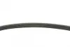 Ремень поликлиновой (Пр-во ContiTech) continental 5PK847