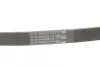 Ремень поликлиновой (Пр-во ContiTech) Continental 5PK865 (фото 3)