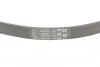 Ремень поликлиновой (Пр-во ContiTech) continental 5 PK 868 ELAST
