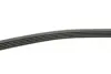 Ремень поликлиновой (Пр-во ContiTech) continental 5PK869