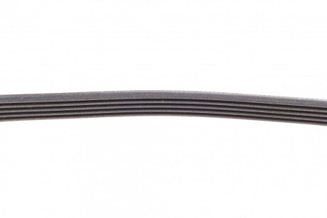 Ремень поликлиновой continental 5PK906