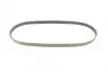 Ремень поликлиновой (Пр-во ContiTech) continental 5 PK 955