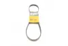 Ремень поликлиновой (Пр-во ContiTech) continental 5 PK 955
