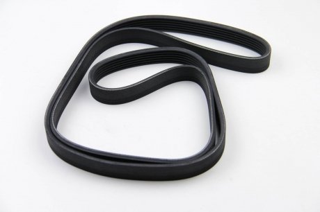 Привідний ремінь генератора continental 6PK1635