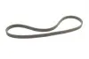 Ремень поликлиновой (Пр-во ContiTech) continental 6 DPK 1195
