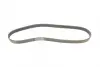 Ремень поликлиновой (Пр-во ContiTech) continental 6PK1026