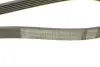 Ремень поликлиновой (Пр-во ContiTech) continental 6PK1033