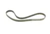 Ремень поликлиновой (Пр-во ContiTech) continental 6PK1033