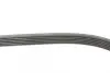 Ремень поликлиновой (Пр-во ContiTech) continental 6PK1033ELAST