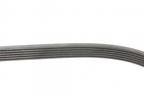 Привідний ремінь генератора continental 6PK1033ELAST