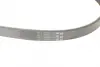 Ремень поликлиновой (Пр-во ContiTech) continental 6PK1033ELAST