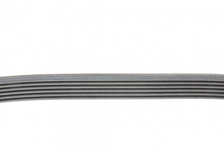 Привідний ремінь генератора continental 6PK1042ELAST
