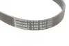 Ремень поликлиновой (Пр-во ContiTech) continental 6PK1045