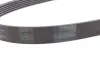 Ремень поликлиновой (Пр-во ContiTech) continental 6PK1054