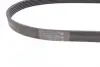 Ремень поликлиновой (Пр-во ContiTech) continental 6 PK 1059 ELAST