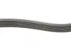 Ремень поликлиновой (Пр-во ContiTech) continental 6PK1090
