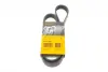 Ремень поликлиновой (Пр-во ContiTech) continental 6PK1090