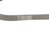 Ремень поликлиновой (Пр-во ContiTech) Continental 6 PK 1100 (фото 2)