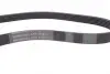 Ремень поликлиновой (Пр-во ContiTech) Continental 6PK1115 (фото 2)