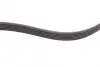 Ремень поликлиновой (Пр-во ContiTech) continental 6PK1120