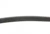 Ремень поликлиновой (Пр-во ContiTech) continental 6 PK 1125