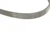 Ремень поликлиновой (Пр-во ContiTech) continental 6 PK 1138