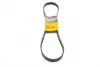 Ремень поликлиновой (Пр-во ContiTech) continental 6 PK 1138