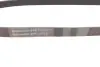 Ремень поликлиновой (Пр-во ContiTech) Continental 6PK1173 (фото 2)