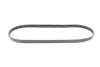 Ремень поликлиновой (Пр-во ContiTech) Continental 6PK1173 (фото 3)