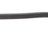 Ремень поликлиновой (Пр-во ContiTech) Continental 6 PK 1190 (фото 3)