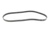 Ремень поликлиновой (Пр-во ContiTech) Continental 6 PK 1190 (фото 4)