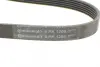 Ремень поликлиновой (Пр-во ContiTech) continental 6PK1205