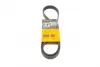 Ремень поликлиновой (Пр-во ContiTech) continental 6PK1205