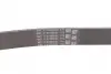 Ремень поликлиновой (Пр-во ContiTech) continental 6 PK 1230