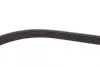 Ремень поликлиновой (Пр-во ContiTech) continental 6 PK 1230