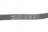 Ремень поликлиновой (Пр-во ContiTech) continental 6PK1256