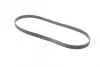 Ремень поликлиновой (Пр-во ContiTech) continental 6PK1256