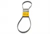 Ремень поликлиновой (Пр-во ContiTech) continental 6PK1256