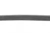 Ремень поликлиновой (Пр-во ContiTech) continental 6PK1264